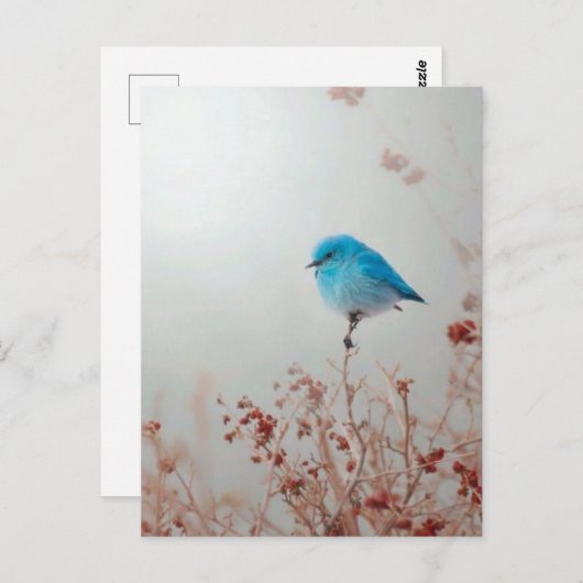 Petit oiseau bleu ポストカード (正面/裏面)