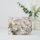Petites fleurs blanches ポストカード (スタンド正面)