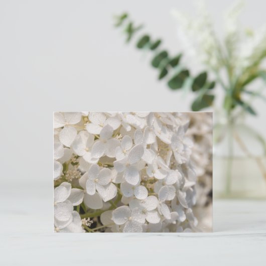 Petites fleurs blanches ポストカード (スタンド正面)