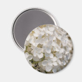 Petites fleurs blanches マグネット (正面/裏面)