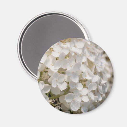 Petites fleurs blanches マグネット (正面/裏面)