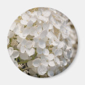 Petites fleurs blanches マグネット (正面)