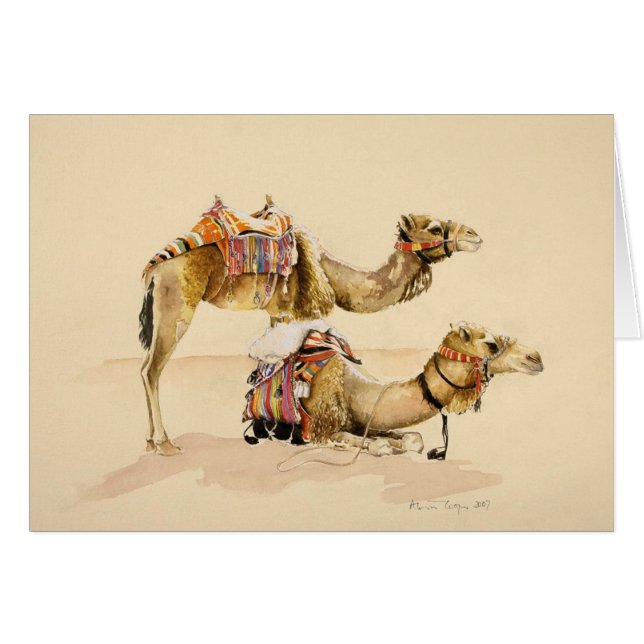 Petra 2007年からのラクダ (正面横)