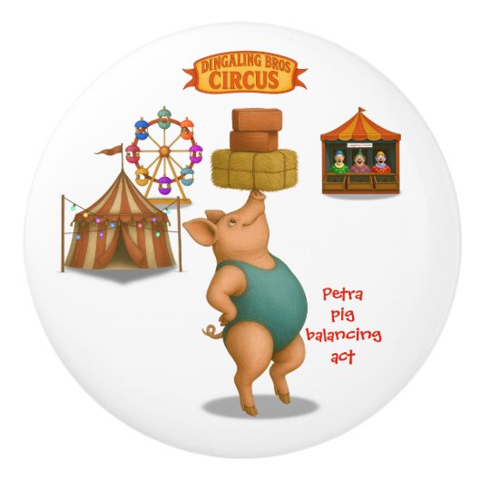 Petra pig balancing act セラミックノブ (正面)