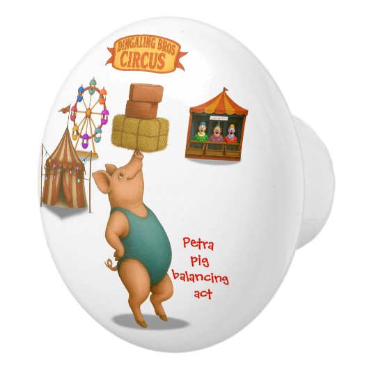 Petra pig balancing act セラミックノブ (右)