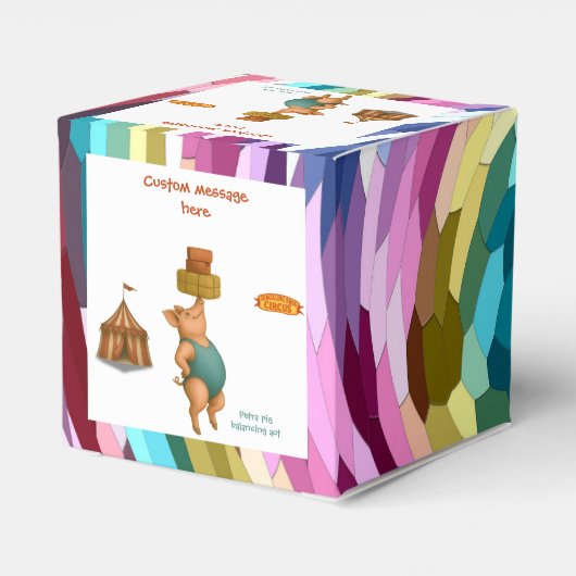 Petra pig balancing act フェイバーボックス (裏面サイド)