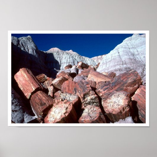 Petriefied Wood, Petrified Forest NP, Arizona ポスター (正面)