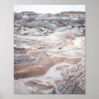 Petrified Forest, Desolate Landscape Photo Poster ポスター
