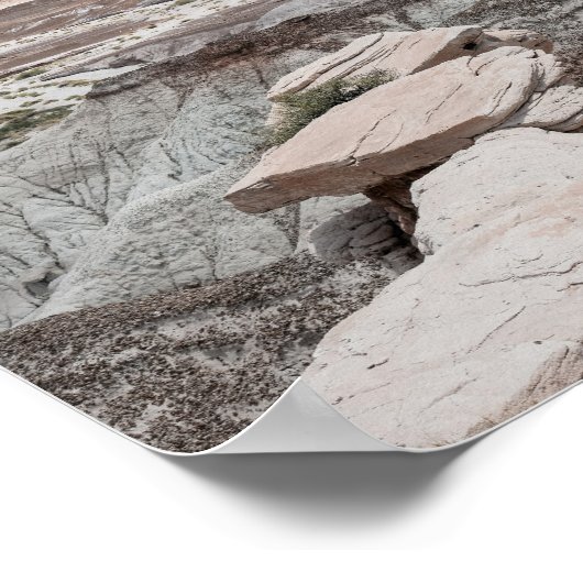 Petrified Forest Print Poster Paper (Semi-Gloss) ポスター (角)