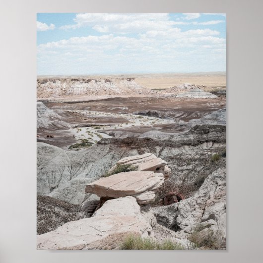 Petrified Forest Print Poster Paper (Semi-Gloss) ポスター (正面)