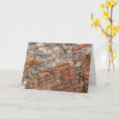 Petrified LogクローズアップI カード (黄色い花)