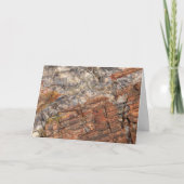 Petrified LogクローズアップI カード (正面)