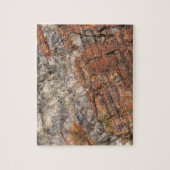 Petrified LogクローズアップI ジグソーパズル (縦)
