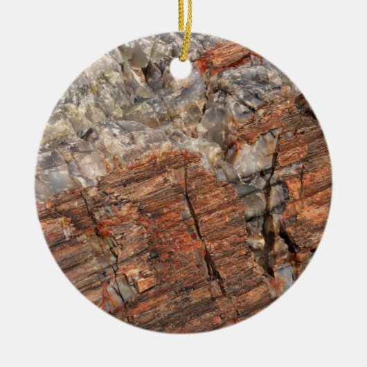 Petrified LogクローズアップI セラミックオーナメント (正面)