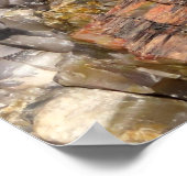 Petrified LogクローズアップI ポスター (角)