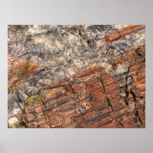 Petrified LogクローズアップI ポスター (正面)