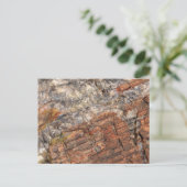 Petrified LogクローズアップI ポストカード (スタンド正面)