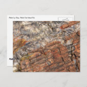 Petrified LogクローズアップI ポストカード (正面/裏面)