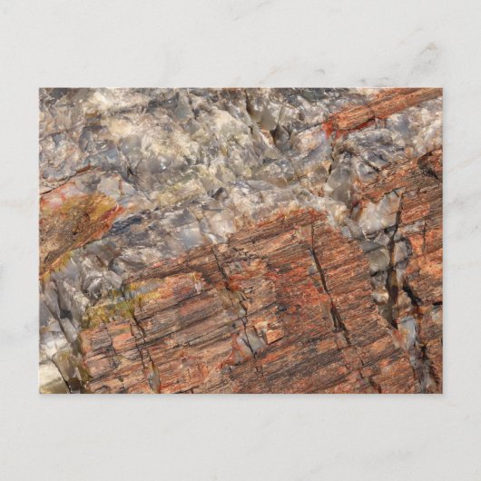 Petrified LogクローズアップI ポストカード (正面)