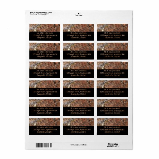 Petrified Log Closeup I ラベル (フルシート)