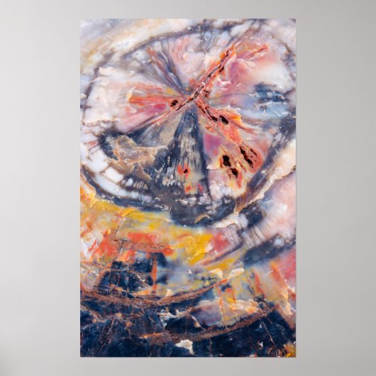 Petrified wood detail, Arizona ポスター (正面)