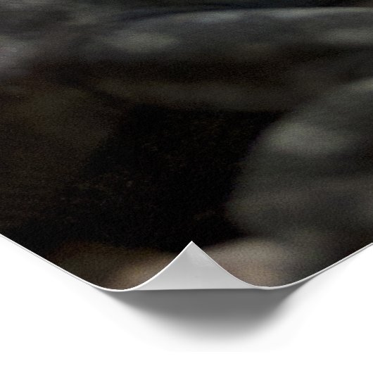 Petrosaurus thalassinus ポスター (角)