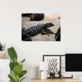 Petrosaurus thalassinus ポスター (ホームオフィス)