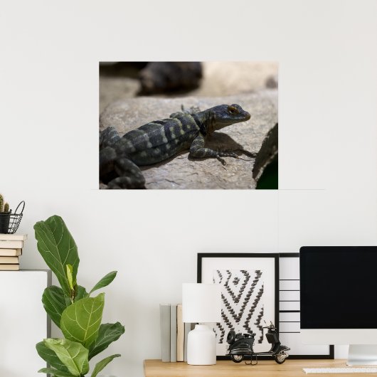 Petrosaurus thalassinus ポスター (ホームオフィス)