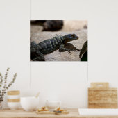 Petrosaurus thalassinus ポスター (キッチン)