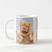 Pets 3 Photo Collage for Cat and Dog Owners Custom コーヒーマグカップ (左)