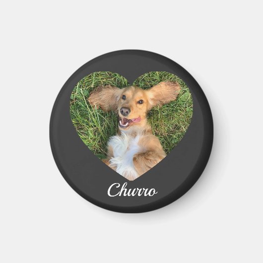 Pet's Cute Modern Typography Name and heart Photo マグネット (正面)