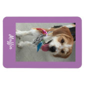 Pet's Photo or Child's Photo & Name, Lavender マグネット (横)
