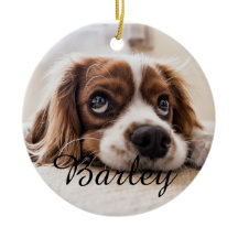 Pet's Simple Elegant Dog Name and Photo Christmas
