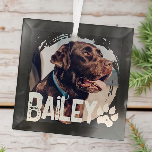 Pet's Simple Modern Cool Grunge Name and Photo ガラスオーナメント