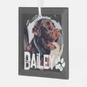 Pet's Simple Modern Cool Grunge Name and Photo ガラスオーナメント (正面左)