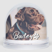 Pet's Simple Modern Cool Typography Name and Photo (正面)