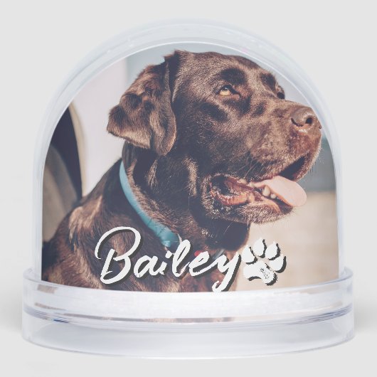 Pet's Simple Modern Cool Typography Name and Photo (正面)