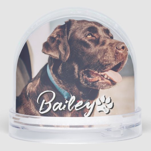 Pet's Simple Modern Cool Typography Name and Photo (裏面)