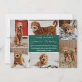 Pet's Year In Reviewグリーンフォトコラージュ シーズンカード (正面)