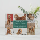 Pet's Year In Reviewグリーンフォトコラージュ シーズンカード (スタンド正面)