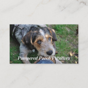 petsitting犬のpathos 名刺