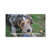 petsitting犬のpathos