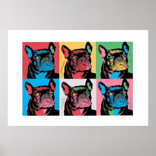 Petunia   ポスター (正面)