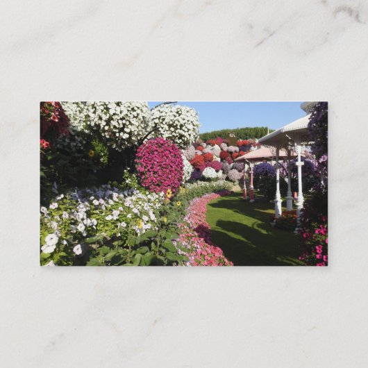 Petunias名刺 名刺 (裏面)