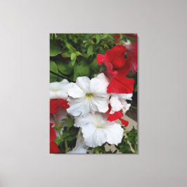 Petunias 赤と白 Canvas Print キャンバスプリント