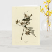Pewit Flycatcher, Phoebe, Audubon Birds of America カード (黄色い花)