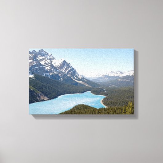 Peyto Lake – カナダ，アルバータ州，バンフ国立公園 キャンバスプリント (正面)