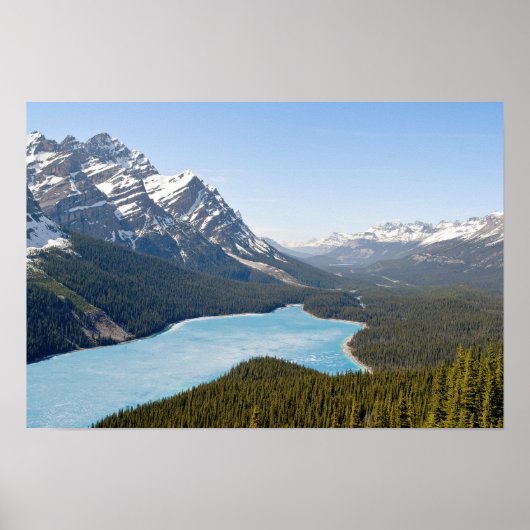 Peyto Lake – カナダ，アルバータ州，バンフ国立公園 ポスター (正面)