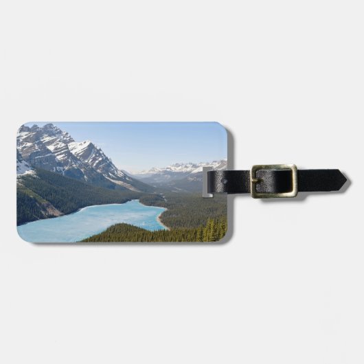 Peyto Lake – カナダ，アルバータ州，バンフ国立公園 ラゲッジタグ (正面横)