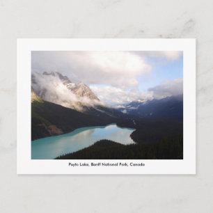Peyto Lake /バンフ国立公園,カナダ。 ポストカード